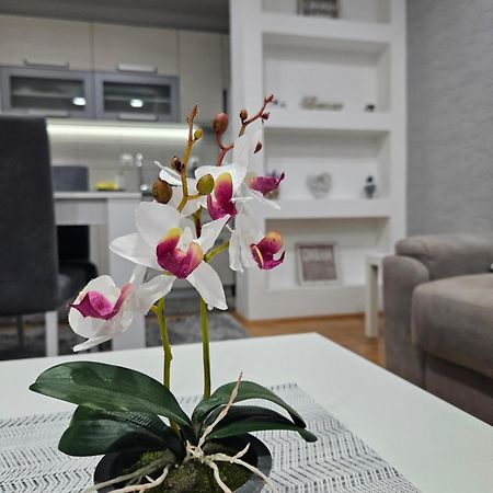 Apartman Vukota Pirot Buitenkant foto