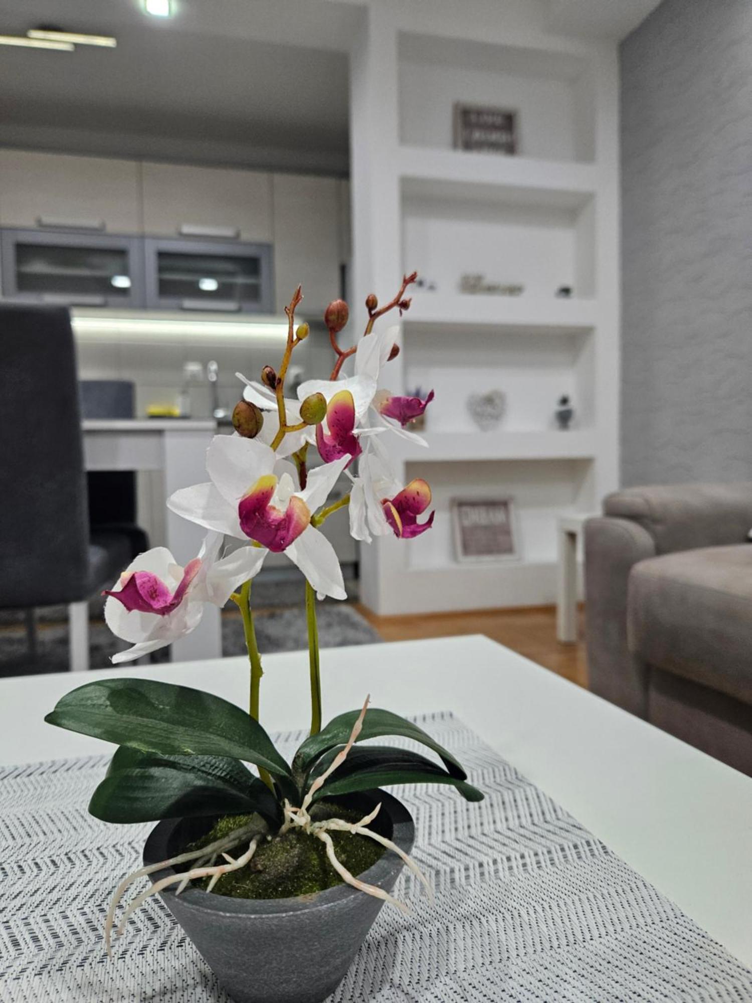 Apartman Vukota Pirot Buitenkant foto